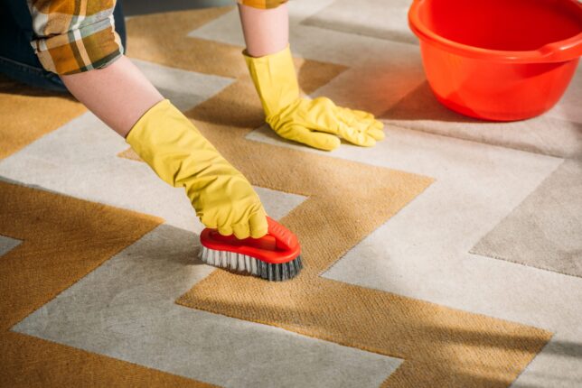 cropped image of woman cleaning carpet at home 2021 08 31 14 34 40 utc 1 scaled e1642284529187 Servicios Villablanca